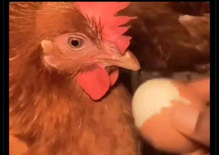 Taste the nonsense you dey produce these days | MirrorLog